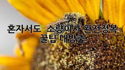 혼자서도 👌 소량이사 완전정복! 꿀팁 대방출 📦